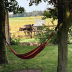 Hangmatten Hangmatten